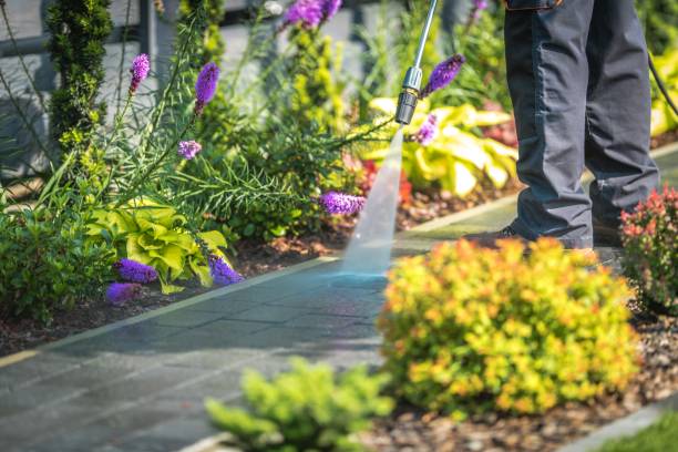 Best Deck and Patio Pressure Washing in Portage, WI